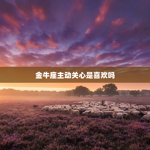 金牛座主動關心是喜歡嗎