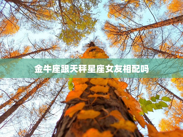 金牛座跟天秤星座女友相配嗎