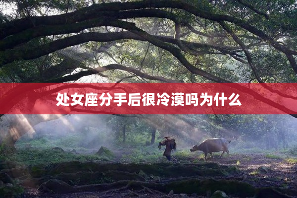 處女座分手后很冷漠嗎為什么