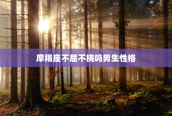 摩羯座不屈不撓嗎男生性格