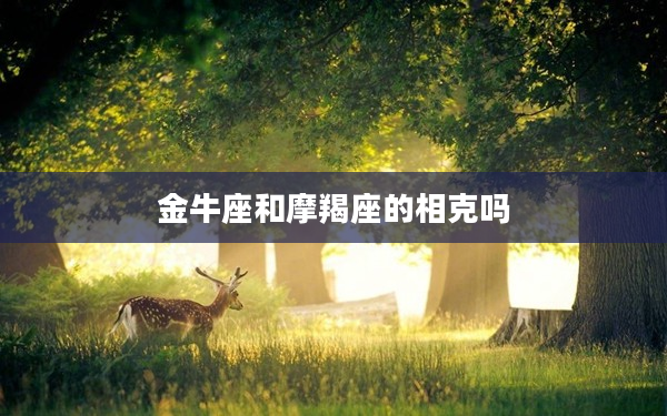 金牛座和摩羯座的相克嗎