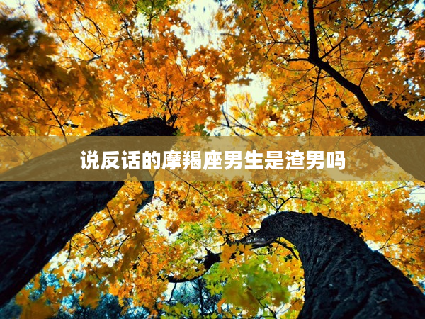 說反話的摩羯座男生是渣男嗎