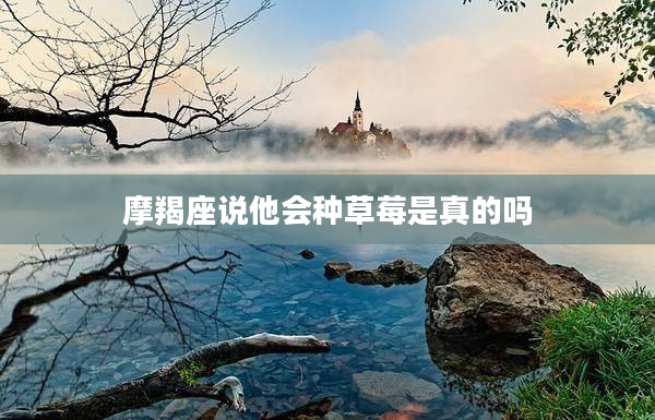 摩羯座說他會種草莓是真的嗎