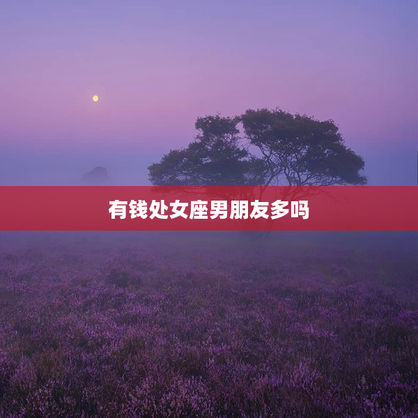 有錢處女座男朋友多嗎