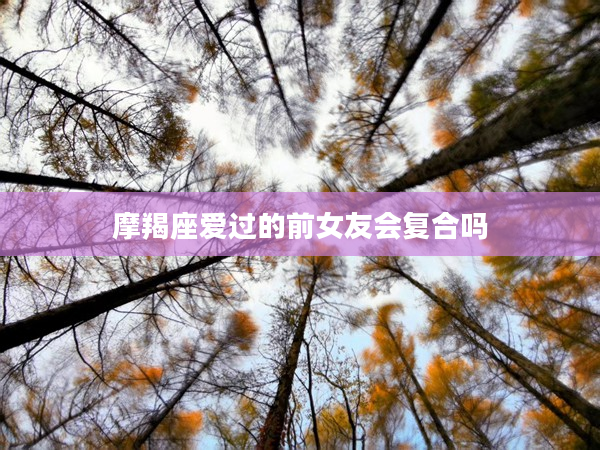 摩羯座愛過的前女友會復合嗎