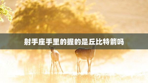 射手座手里的握的是丘比特箭嗎