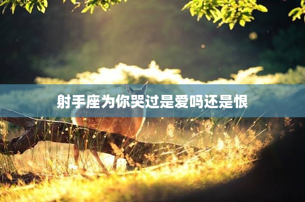 射手座為你哭過是愛嗎還是恨