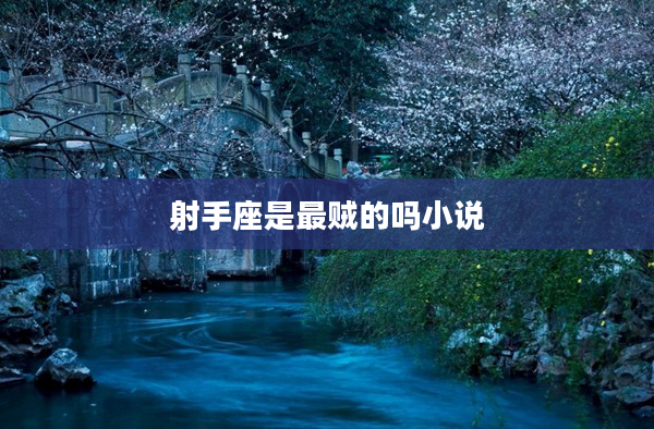 射手座是最賊的嗎小說