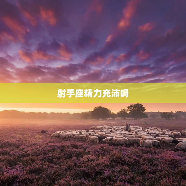 射手座精力充沛嗎