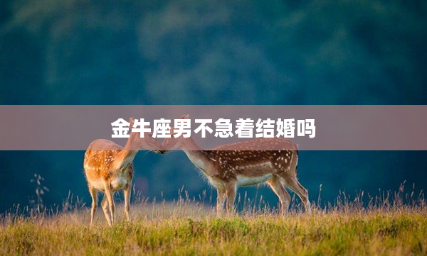 金牛座男不急著結(jié)婚嗎