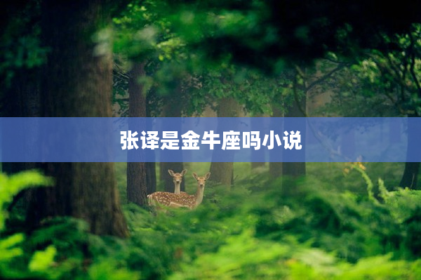 張譯是金牛座嗎小說