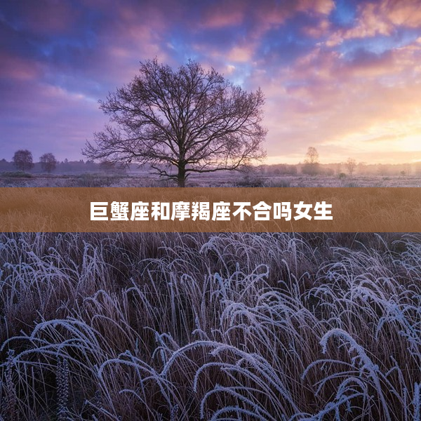 巨蟹座和摩羯座不合嗎女生