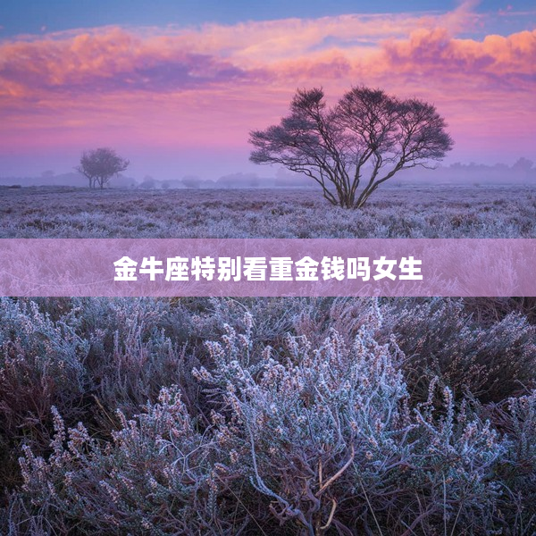 金牛座特別看重金錢嗎女生