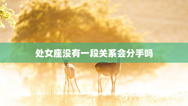 處女座沒有一段關系會分手嗎