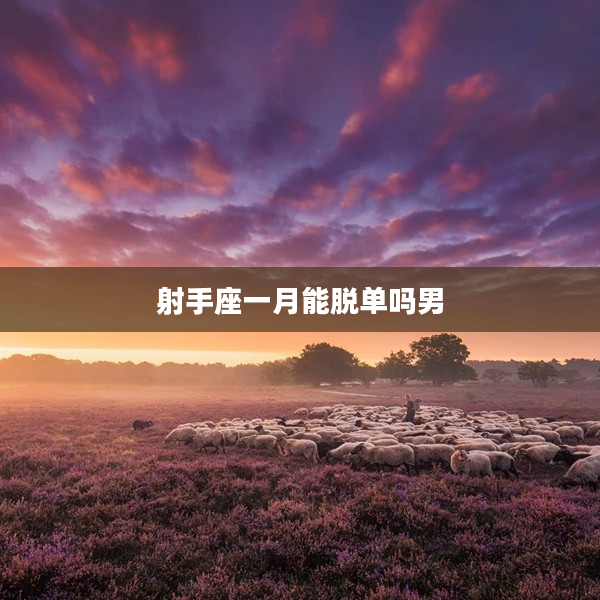 射手座一月能脫單嗎男