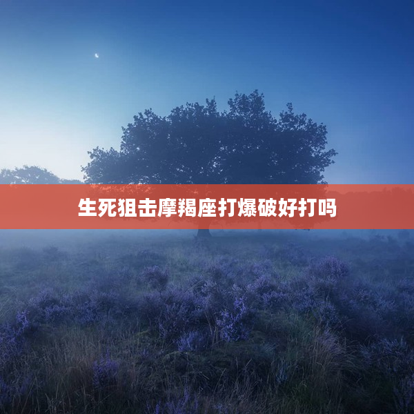 生死狙擊摩羯座打爆破好打嗎