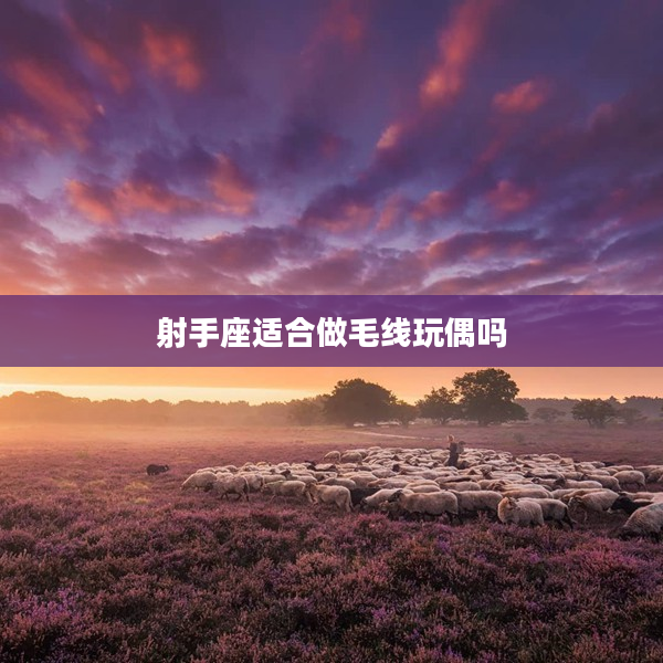 射手座適合做毛線玩偶嗎