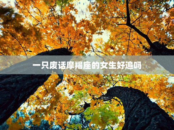 一只廢話摩羯座的女生好追嗎