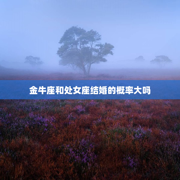金牛座和處女座結(jié)婚的概率大嗎
