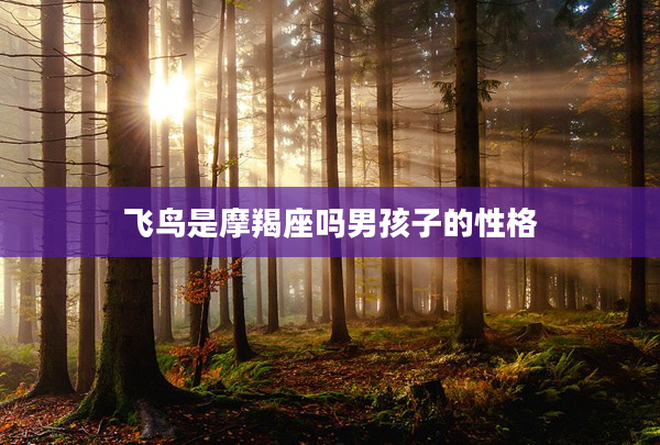 飛鳥是摩羯座嗎男孩子的性格