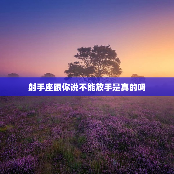 射手座跟你說不能放手是真的嗎