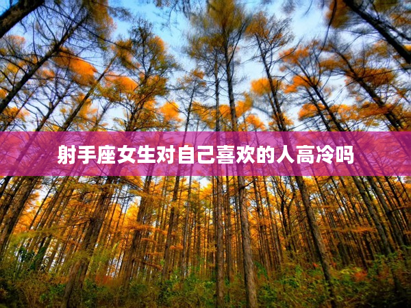 射手座女生對自己喜歡的人高冷嗎