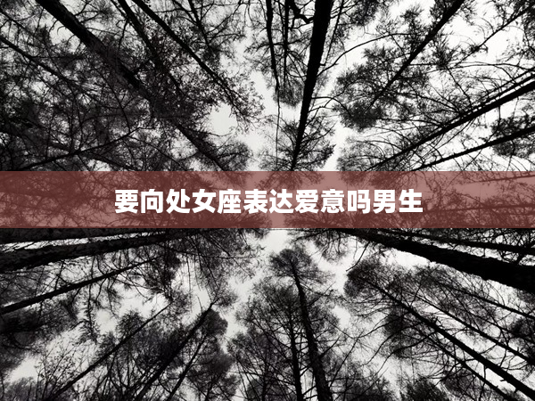 要向處女座表達愛意嗎男生