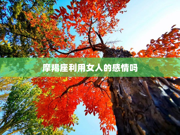 摩羯座利用女人的感情嗎