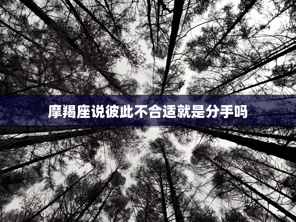 摩羯座說彼此不合適就是分手嗎