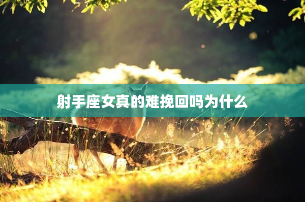 射手座女真的難挽回嗎為什么