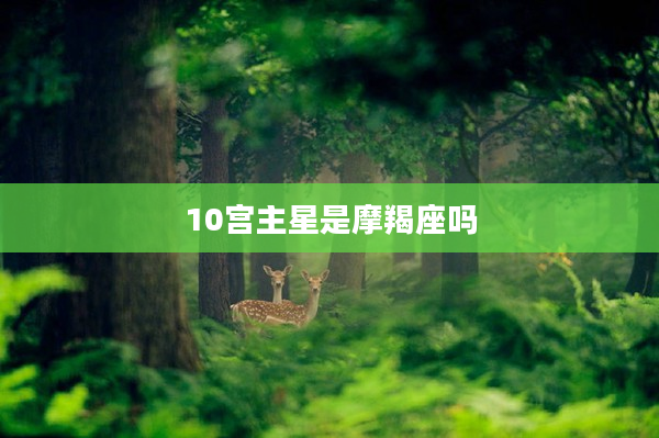 10宮主星是摩羯座嗎