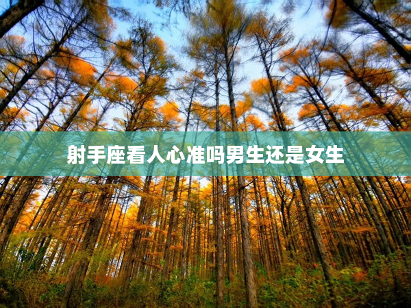 射手座看人心準嗎男生還是女生