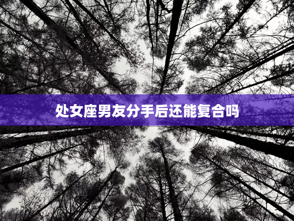 處女座男友分手后還能復合嗎