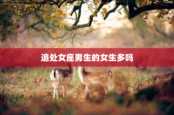 追處女座男生的女生多嗎