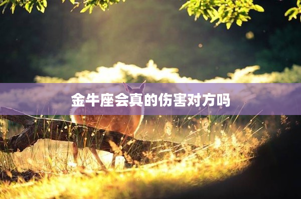 金牛座會真的傷害對方嗎