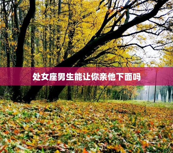 處女座男生能讓你親他下面嗎