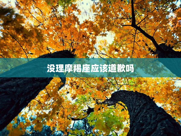 沒理摩羯座應該道歉嗎