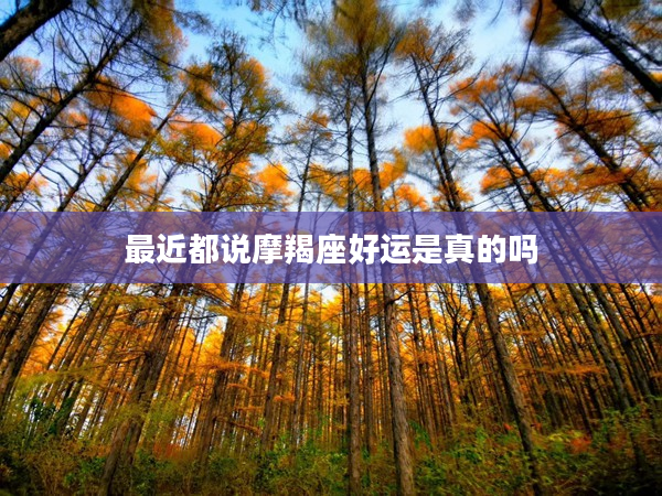 最近都說摩羯座好運是真的嗎