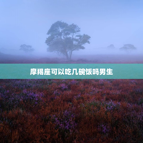 摩羯座可以吃幾碗飯嗎男生