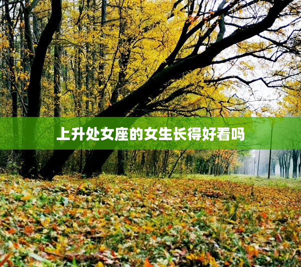 上升處女座的女生長得好看嗎