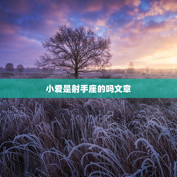 小愛是射手座的嗎文章