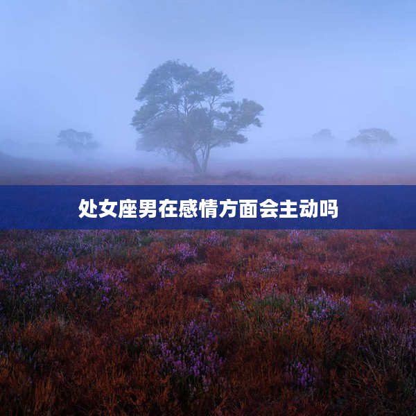 處女座男在感情方面會主動嗎