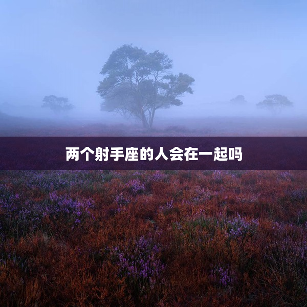 兩個射手座的人會在一起嗎