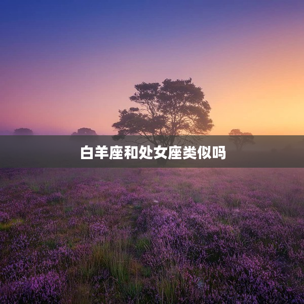 白羊座和處女座類似嗎
