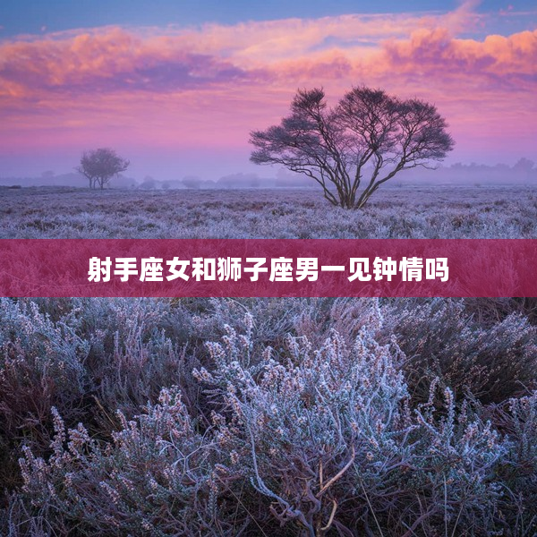 射手座女和獅子座男一見鐘情嗎