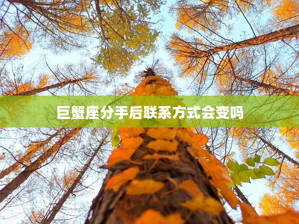 巨蟹座分手后聯(lián)系方式會變嗎