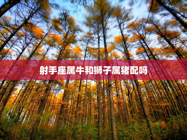 射手座屬牛和獅子屬豬配嗎