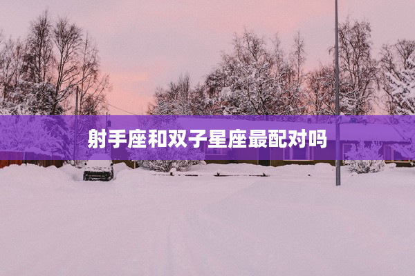 射手座和雙子星座最配對嗎