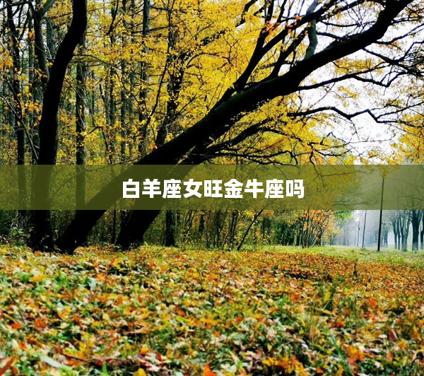 白羊座女旺金牛座嗎