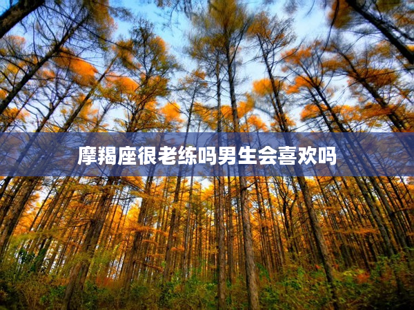 摩羯座很老練嗎男生會(huì)喜歡嗎